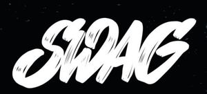 Meet your Posher, Swag Ventures